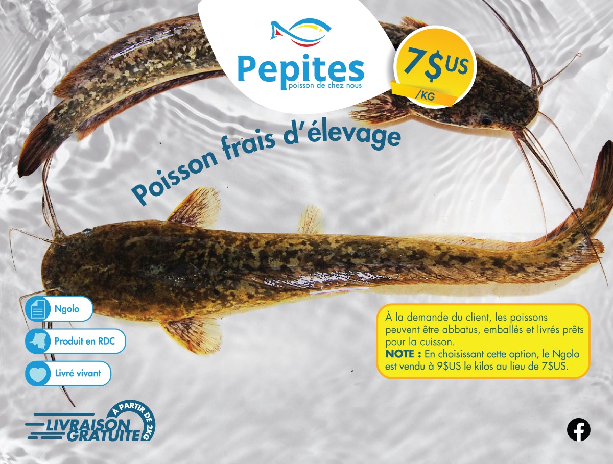 Flyer 2 - Nos produits